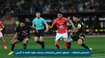 التحضير المكثف.. جمهور الأهلي والزمالك يستعد بقوة لقمة لا تُنسى